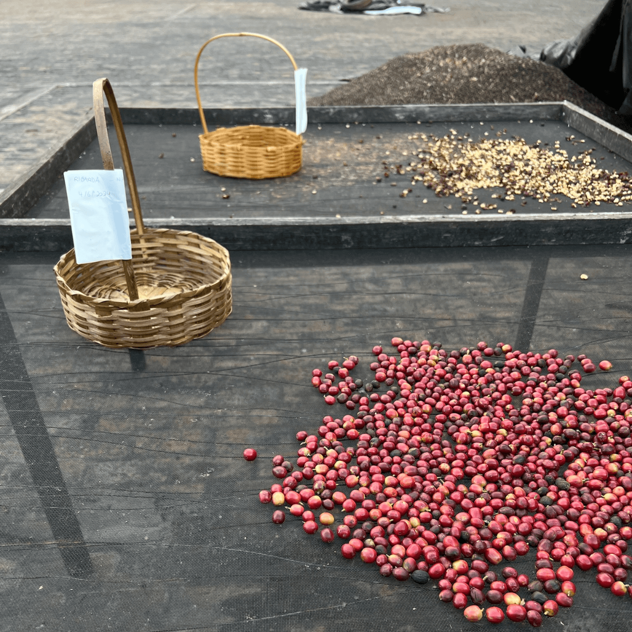 Brasilien Fazenda Matão