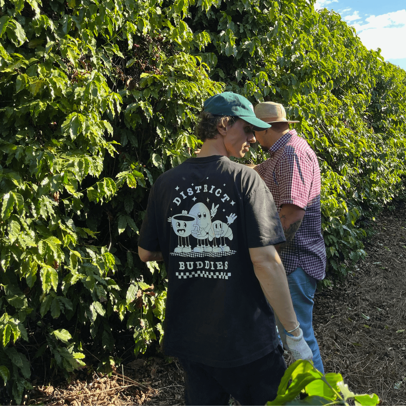 Brasilien Fazenda Matão